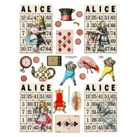 Alice in Bingo 786